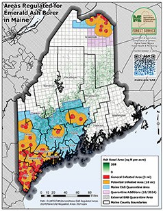 map of emerald ash borer quarantine in Maine